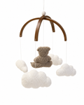 Teddy in the Clouds