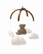 Teddy in the Clouds